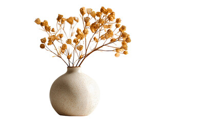 modern ceramic vase with dry flowers, isolated on white background png