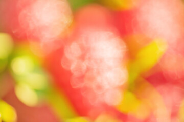 Wall Mural - Defocused background natural red with green. Abstract defocus light.