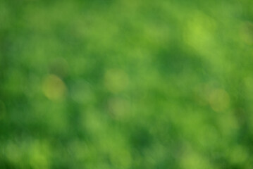 Wall Mural - Abstract defocus light green natural background.