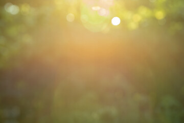 Wall Mural - Defocused natural background of greenery at sunset. Abstract natural defocus light.