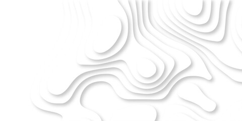 Wall Mural - abstract luxury diamond creative topography map background vector natural shadow papercut web topogr
