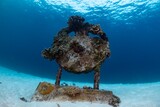 Underwater artifact with vibrant coral growth creates a unique seascape.