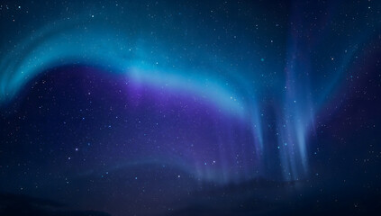 Wall Mural - Aurora curtain wave across a starry void, bioluminescent cobalt and amethyst, soft atmospheric glow