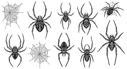Intricate black and white spider silhouettes with delicate web designs