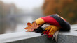 © SM - Woolen scarf in national colors draped over a stone bridge, autumn leaves caught in its folds.