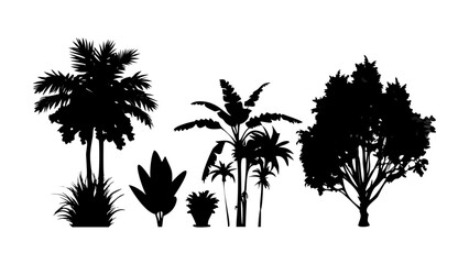 Silhouette trees tropical plants nature landscape forest design vector illustration graphic element design tree art
