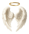 © OMD - White angel wings with a gold halo.