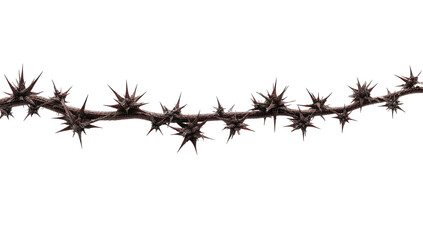 Long, dark brown, spiky, chain-like structure