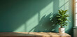 © miss irine - Wooden table with potted green plant sits before teal wall, casting leaf shadows from sunlight through window. Features panoramic banner with copy space for product display, ideal for eco-friendly