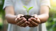 © N7 - Hands gently holding green plant — symbolizing growth, care, and new beginnings