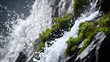 © Liya - Cascading Water and Verdant Moss A Symphony of Nature's Elements in Motion Creating a Refreshing and Serene Natural Scene