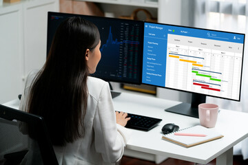 Wall Mural - project planning software for brisk business project management on the computer screen showing timel