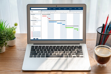 Wall Mural - project planning software for modish business project management on the computer screen showing time