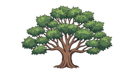 Illustration showcasing a lush deciduous tree with full foliage and a sturdy trunk in a clear isolated view