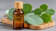 © Almarkha8 - Amber bottle of essential oil rests on wooden board next to eucalyptus sprigs