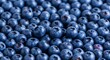 © Lens & Light - Fresh, ripe blueberries glistening with water droplets create a vibrant, healthy, and natural food background.