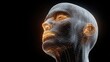 © Анастасия Калинина - 3d wireframe model of human head digital art studio conceptual