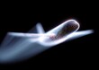 © Kartika - A computer generated image of a plane flying through the sky