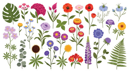 Botanical flower and leaf vector illustration set. Flowers and leaves colorful abstract shape doodle art for print, wallpaper, clipart, wall art. Hand drawn flat design art.