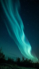 Wall Mural - Vertical video Breathtaking Aurora Borealis Over Mountains 