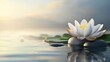 © Beauver - A serene image of a white lotus flower floating on water. The flower is perfectly bloomed, with delicate petals and a golden center, resting atop a smooth, gray stone, against a misty background
