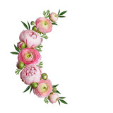 Pink ranunculus flowers arranged in a crescent shape isolated on white isolated on transparent background
