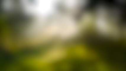 Abstract, blurred background of sun shining through trees with warm, natural tones for presentations and web design