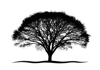 Vector art of an artistic silhouette of a large tree with intricate branches, isolated on a, highlighting its detailed structure and organic form, suitable for various design applications