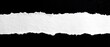 © frank - Torn strip of white paper with rough edge on black background highlighting texture and detail