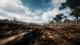 Desolate drought ravaged landscape of dried cracked soil and dead trees