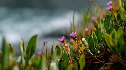 Wall Mural - the surrounding flora and water waves appear out of focus.
