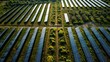 © nameera_juwairiya - solar panels green energy field