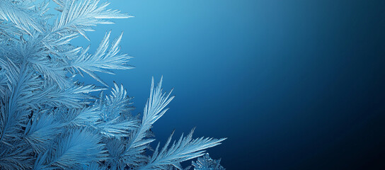 Wall Mural - Frost background with Copy Space