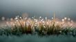 © daden - Soft-focus natural macro scene highlighting purity and calmness.