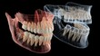 © BlackLion - Detailed anatomical model of human teeth showing 3D structure and alignment in dental study