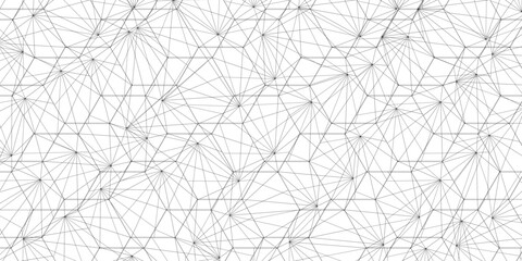 Wall Mural - Abstract of simple gray line triangle pattern geometric background .white background creative and geometric shape with white luxury pattern .Gray and white geometric background with low poly triangle