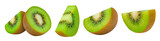 kiwi fruit slices isolated on white background.
