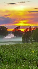 Wall Mural - Sunset In Orange Sky Over Fields And Forest - Timelapse, Vertical Shot