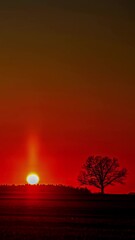 Wall Mural - Timelapse Of Sun Going Down - Sunset In Rural Landscape - Vertical Shot