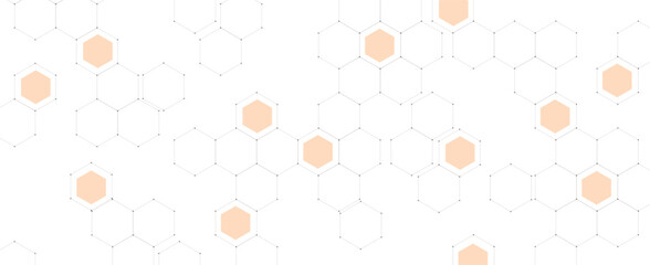 Wall Mural - abstract circuit technology and science concept background for business presentation