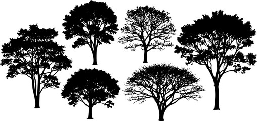 Wall Mural - highly detailed tree silhouette set
