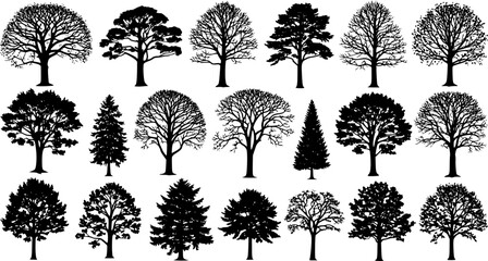 Wall Mural - highly detailed tree silhouette set
