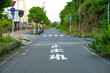 © 洋 奥山 - 第二京阪高速の側道にある一時停止の道路標示と横断歩道