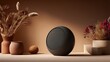 © Amira - Modern round speaker with dried flowers in cozy indoor setting