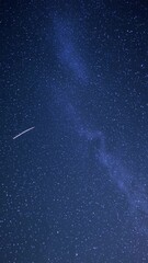 Wall Mural - a mesmerizing night sky full of stars with two shooting stars captured from a low-angle. perfect for