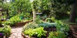 © KOOLAIDMAN100X - Serene garden landscape with lush greenery and vibrant plants.
