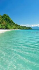 Wall Mural - Clear blue water and palm trees on a beautiful beach