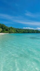 Wall Mural - Clear blue waters and palm trees on a serene beach scene