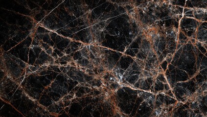 A close-up view of a network of interconnected spider webs shimmering against a dark background, showcasing intricate patterns and delicate silk threads.