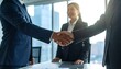 © Saka - Business people shaking hands